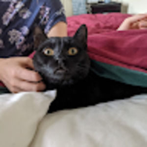 Meet your Posher, Genevieve grey